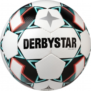 Derbystar Brillant TT Trainingsball mit Ballsack