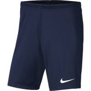 Nike Park 20 Shorts in 2 Farbkombinationen