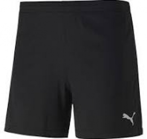Puma teamGOAL Short in 2 Farbkombinationen