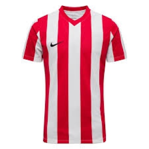 Nike Striped Division IV 15er Trikot-Set in 5 Farbkombinationen