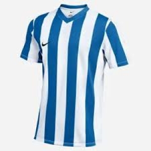 Nike Striped Division IV 15er Trikot-Set in 5 Farbkombinationen