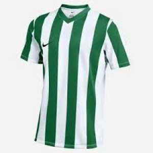 Nike Striped Division IV 15er Trikot-Set in 5 Farbkombinationen