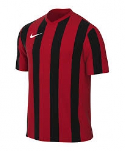 Nike Striped Division IV 15er Trikot-Set in 5 Farbkombinationen