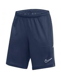 Nike Academy 25 Shorts in 2 Farbkombinationen